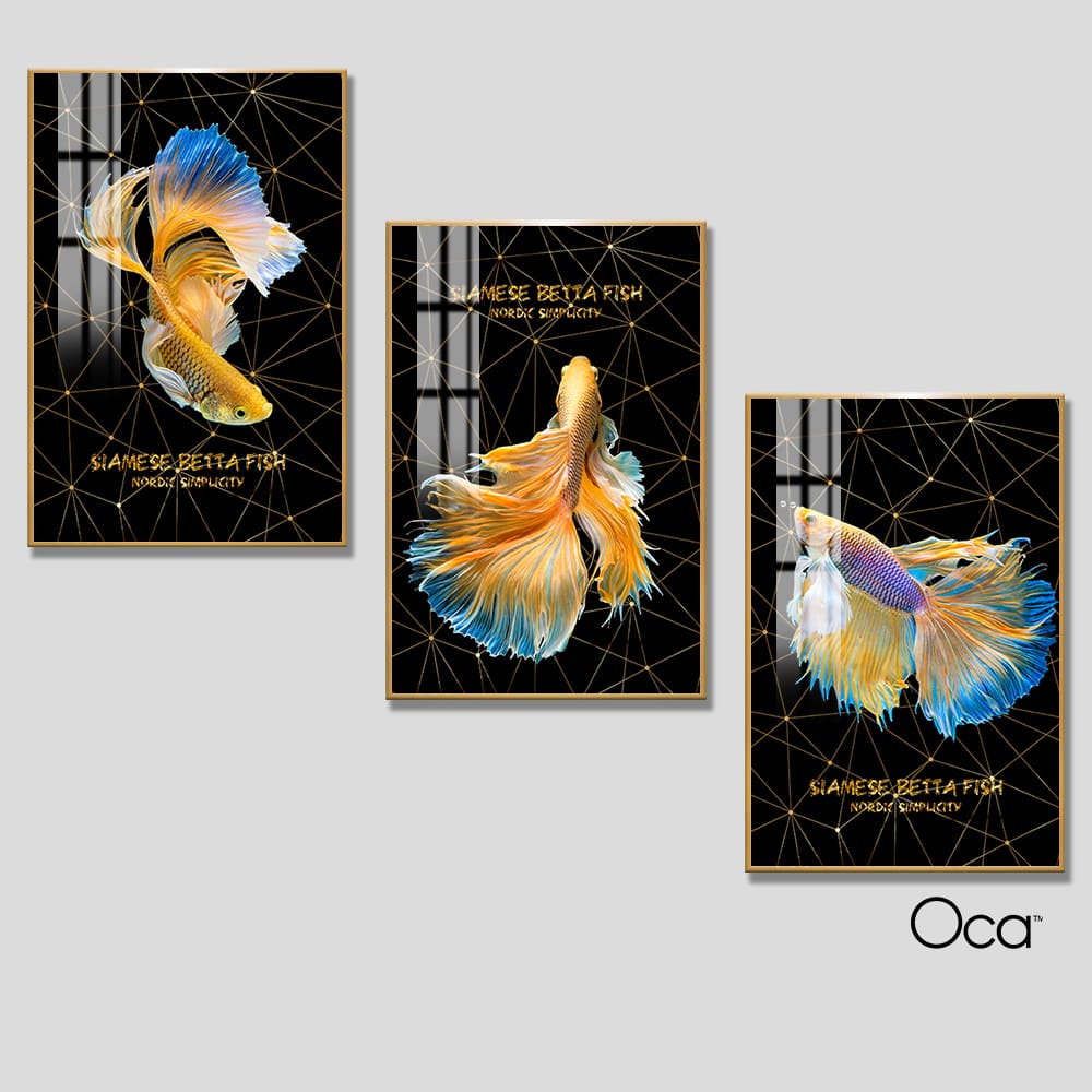 Cá betta | Bộ 3 tranh treo cầu thang | Mã T0270 | Oca
