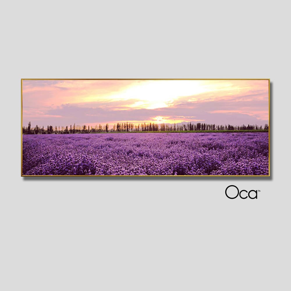 Cánh đồng hoa lavender | Tranh KHUNG NHÔM cao cấp | Treo phòng ngủ | Mã T0400 | OCa