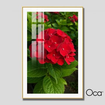 Đóa hoa Cẩm Tú | Mã T0502 | Oca