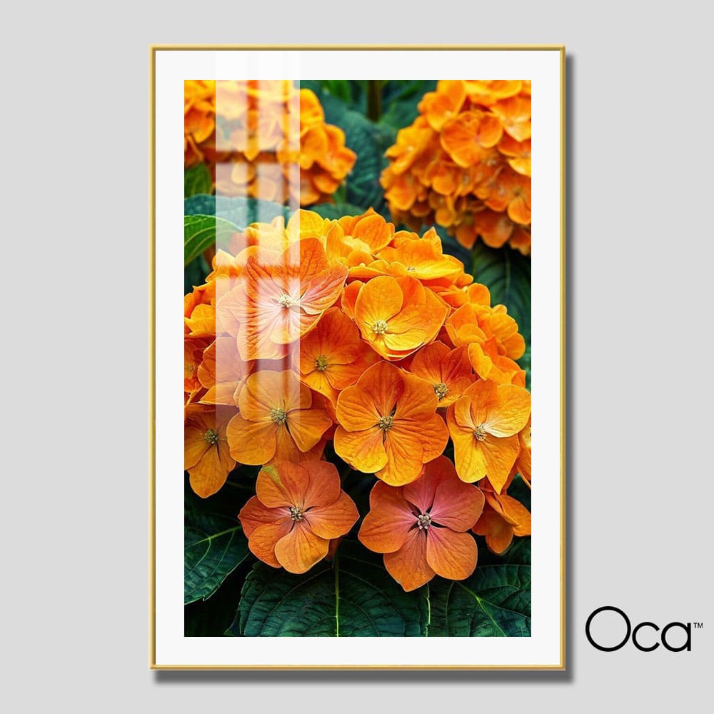 Hoa cẩm tú cầu | Mã T0514 | Oca