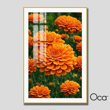 Khóm hoa cúc vạn thọ | Mã T0519 | Oca