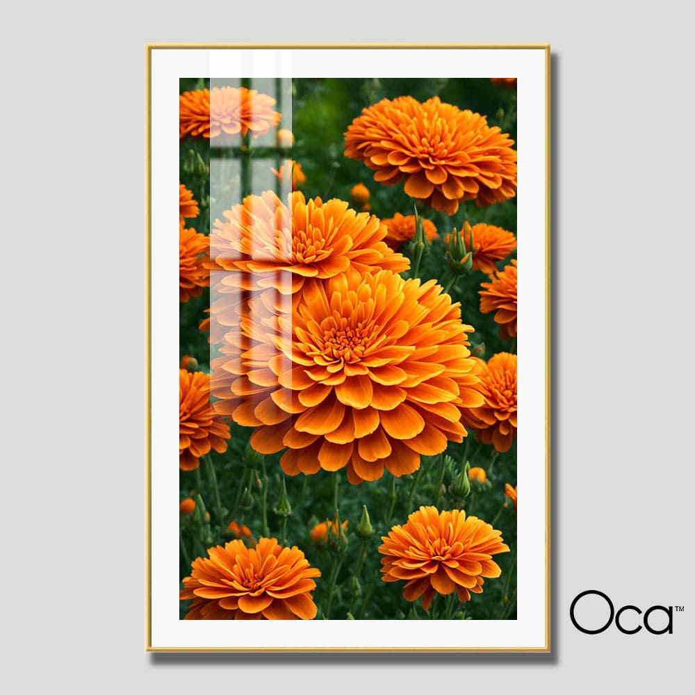 Khóm hoa cúc vạn thọ | Mã T0519 | Oca